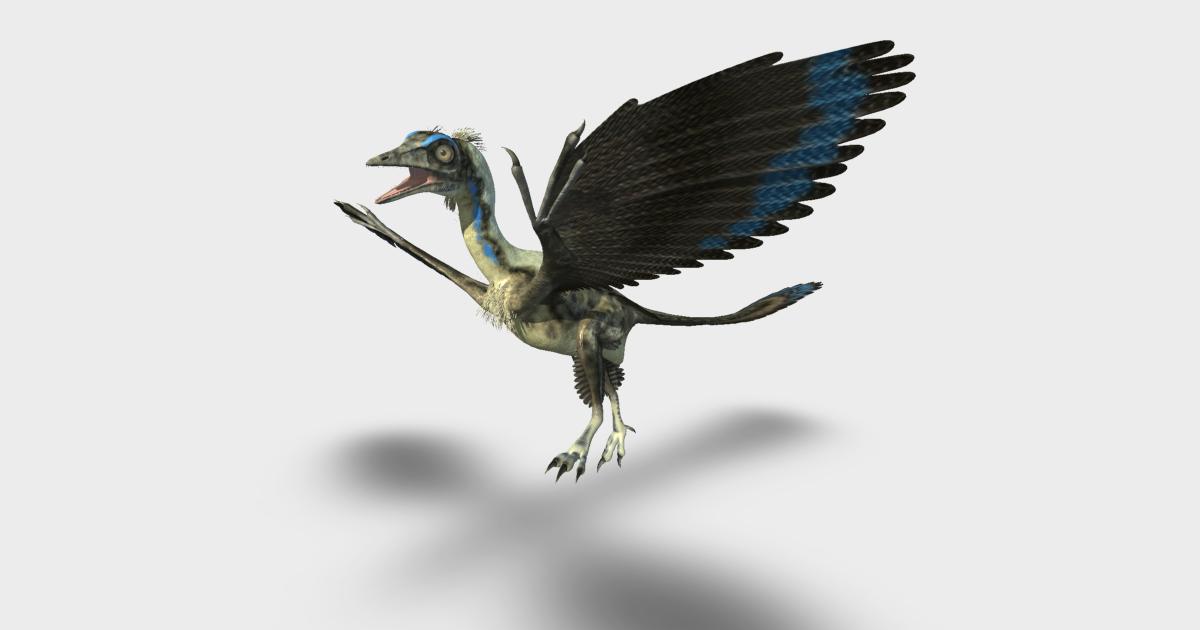 Amazon.com: Papo The Dinosaur Figure, Archaeopteryx : Toys